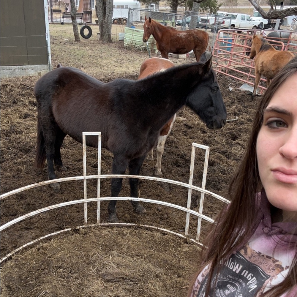 Meet your Posher, Brooklynn